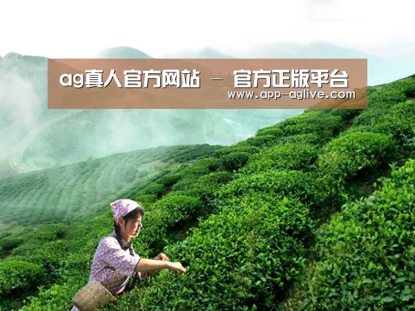 ag真人官方网站 - 官方正版平台