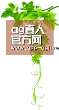 ag真人官方网站 - 官方正版平台