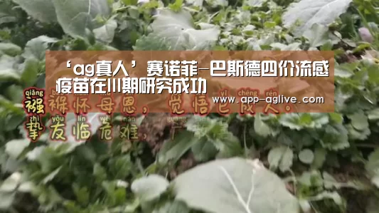 ‘ag真人’赛诺菲-巴斯德四价流感疫苗在III期研究成功(图4) AG体育