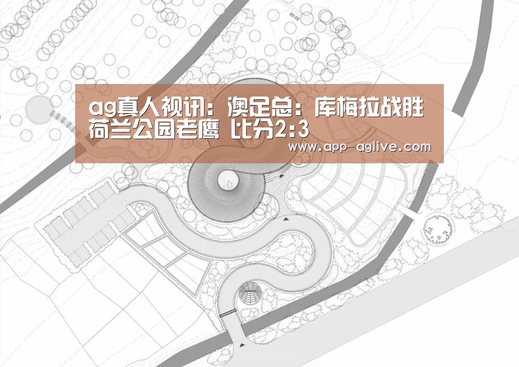 ag真人视讯:澳足总: 库梅拉战胜荷兰公园老鹰 比分2:3(图2) ag真人