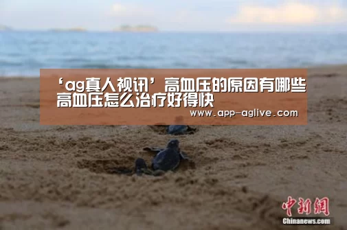 ‘ag真人视讯’高血压的原因有哪些 高血压怎么治疗好得快(图2) ag真人