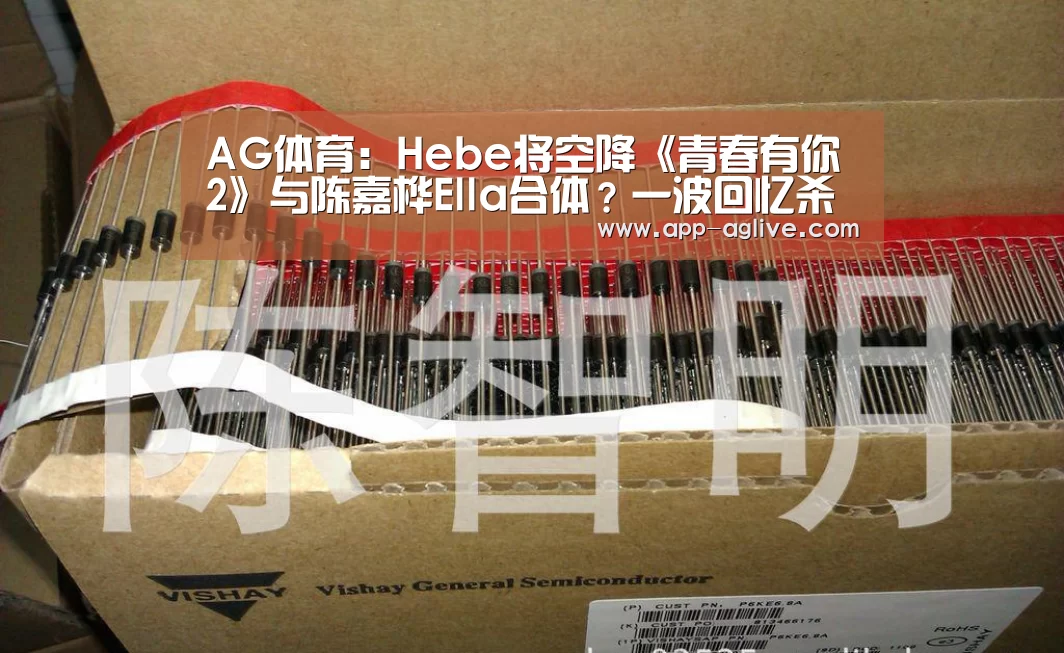 AG体育:Hebe将空降《青春有你2》与陈嘉桦Ella合体?一波回忆杀来袭(图2) AG体育