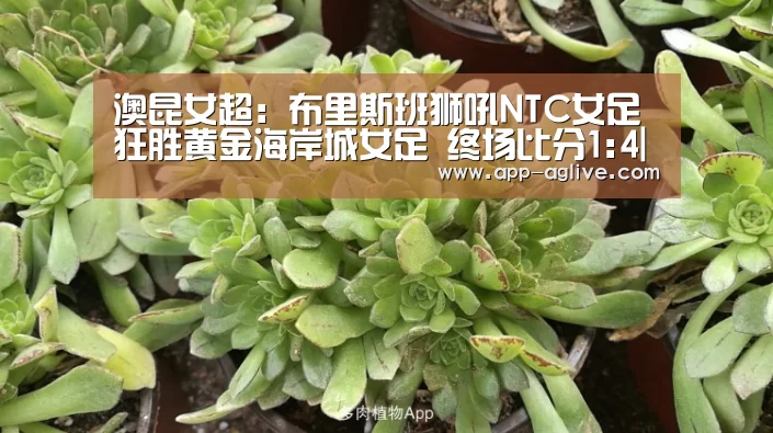 澳昆女超: 布里斯班狮吼NTC女足 狂胜黄金海岸城女足 终场比分1:4|ag真人平台(图2) ag真人