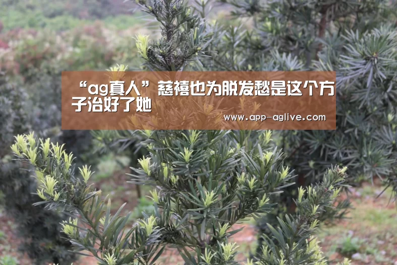 “ag真人”慈禧也为脱发愁是这个方子治好了她(图4) ag真人